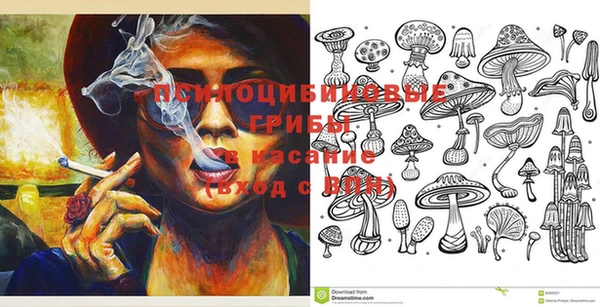 PSILOCYBIN Елизово