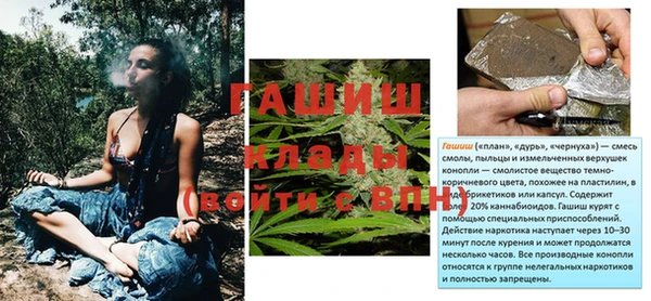 PSILOCYBIN Елизово