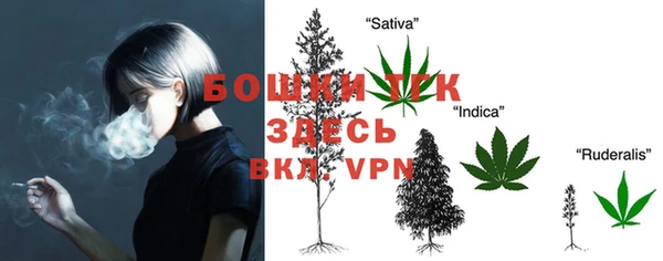 мдма Заводоуковск