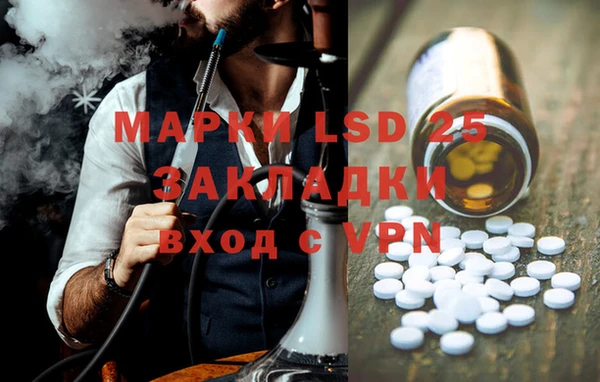 PSILOCYBIN Елизово