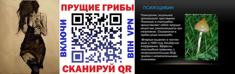 Псилоцибиновые грибы Psilocybe  мега вход  Нижний Тагил 