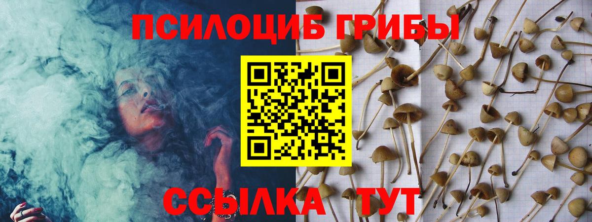 Галлюциногенные грибы мухоморы Нижний Тагил
